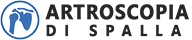 Artroscopia di Spalla